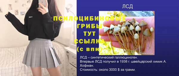 спиды Алексеевка
