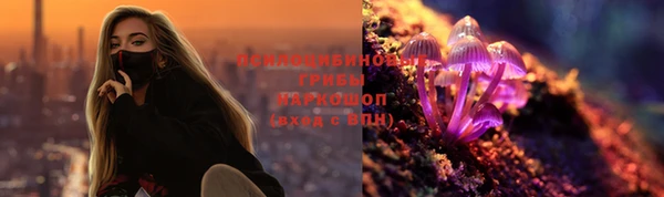 спиды Алексеевка