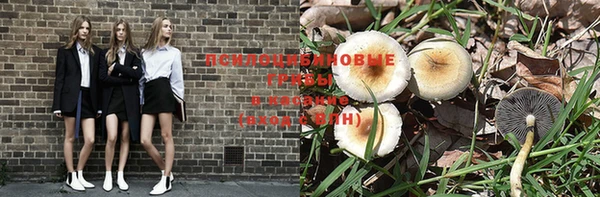 спайс Абинск