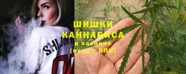 ешки Алзамай